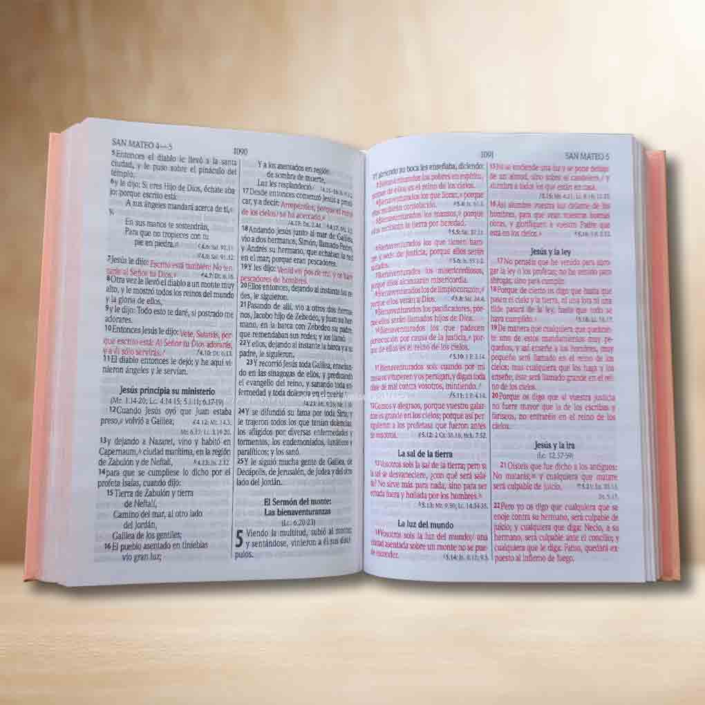 Biblia RVR1960 Personal Tapa Dura Letra Grande 12 pts Rosa