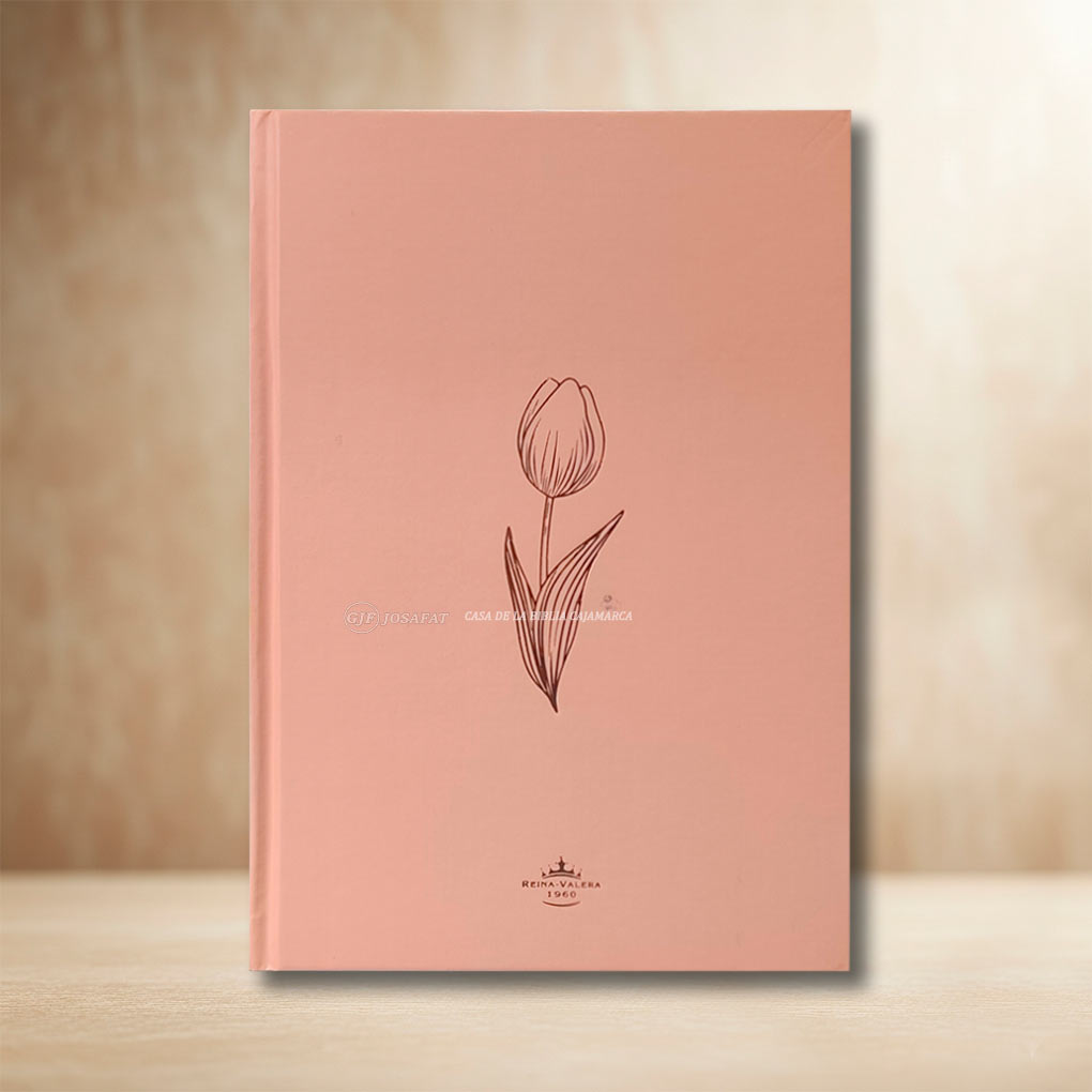 Biblia RVR1960 Personal Tapa Dura Letra Grande 12 pts Rosa